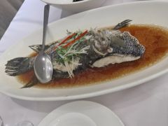 -骏莱海鲜鱼港(五角场店)