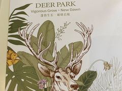 -Deer Park鹿园西餐(仁恒置地广场店)