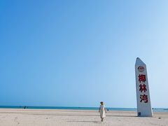 -东郊椰林
