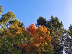 -长春市南湖公园