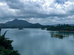 -大门水乡·顺德菜
