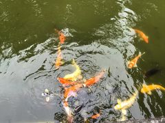 -珠海圆明新园