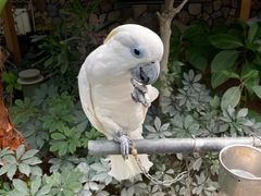 -南宫五洲植物乐园