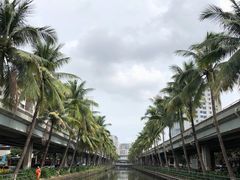 -文昌邓记清补凉(西沙路店)