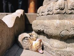 -龙华寺