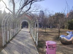 -双榆树公园