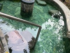 -英德宝晶宫天鹅湖茶语温泉