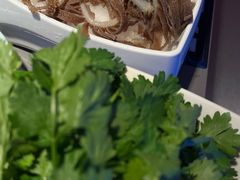 -季季红火锅(新建新城吾悦店)