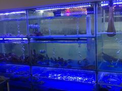 -海月湾海景餐厅( 嵊泗本地老字号店)