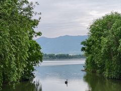 -长兴太湖图影湿地文化园
