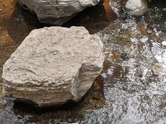 -白水寺森林公园
