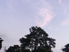 -黄埔油麻山森林公园