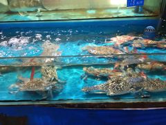 -学府海鲜批发市场