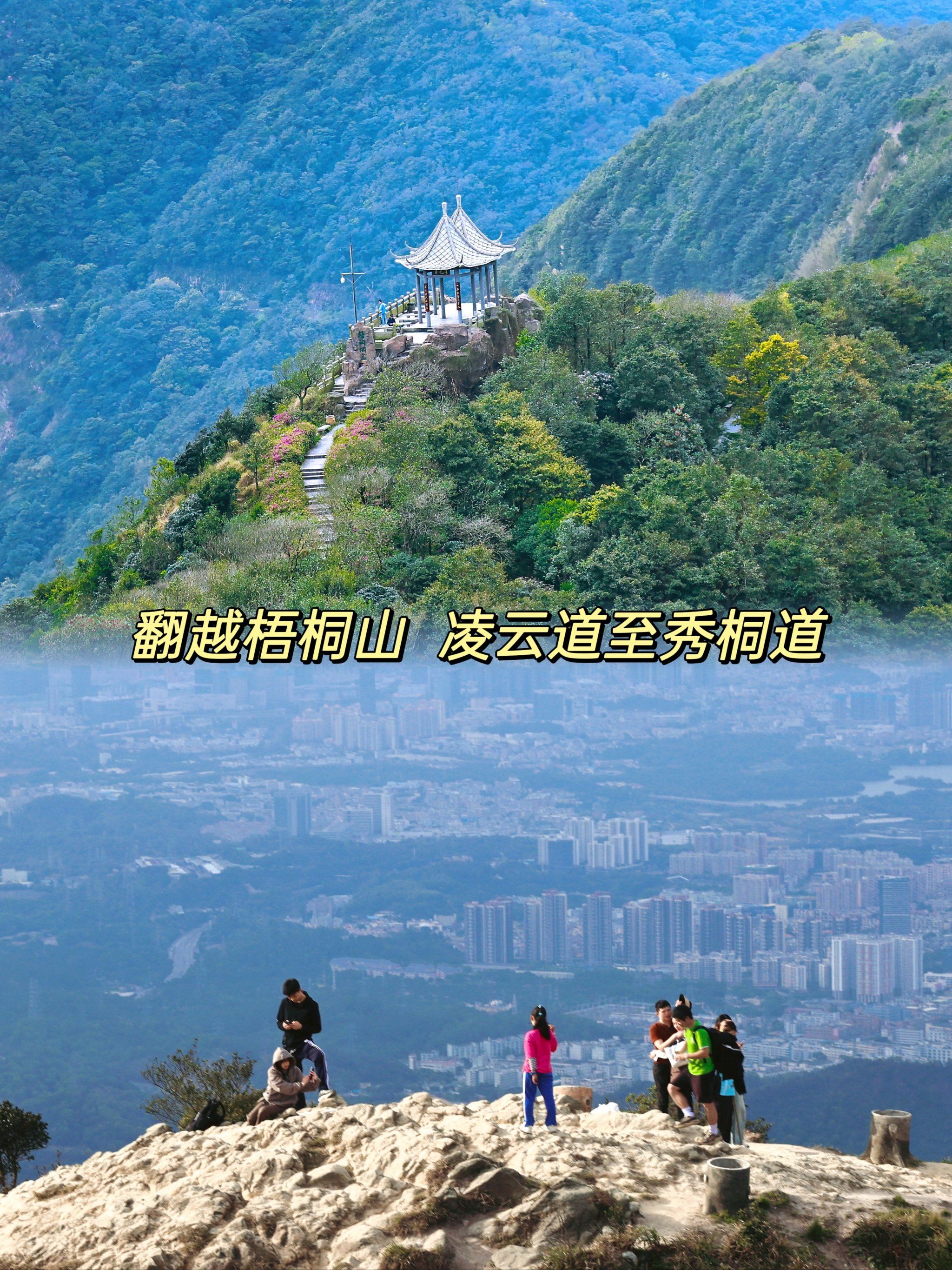 徒步梧桐山首推 凌云道至秀桐道徒步线路