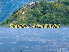 -梧桐山风景名胜区