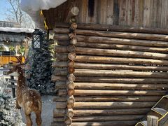 -HERRE·FARM 赫尔露营农场·团建聚会包场