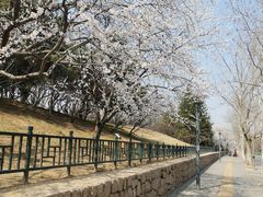 -玲珑塔公园