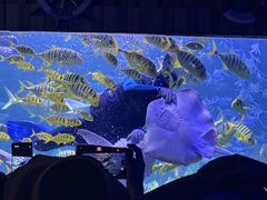 -左海海底世界