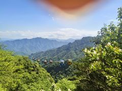 -朱雀国家森林公园