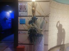 -魔指印象(西藏旗舰店)