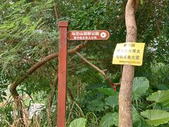 -马峦山郊野公园