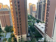 -首都医科大学附属北京天坛医院