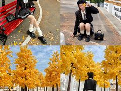 -Blue Concept Cafe&Farm·關於藍