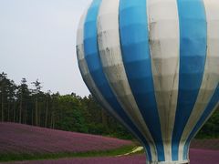 -大塘金香草谷