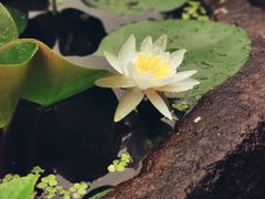 -竹中驿农家餐馆