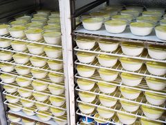 -德禄酸奶(莫家街店)