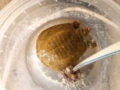 -粮心小农·大头虾亲子生态园(长发店)