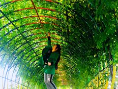 -南通洲际绿博园