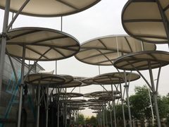 -巴克创奇梦工厂