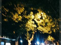 -RUMORS COFFEE ROASTERY鲁马滋咖啡(湖南路店)
