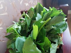 -野菌皇海景野生菌火锅(滨海大道店)