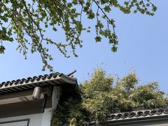 -青果巷历史文化街区