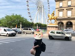 -杜乐丽花园