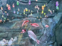 -欢乐海岸海洋奇梦馆