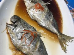 -YOYO悠游美食地图(西市城购物中心店)