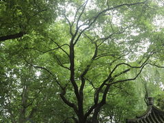 -静安公园(静安寺街道)