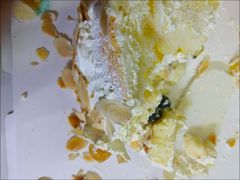 -维尔纳斯·生日蛋糕·动物奶油冰淇淋蛋糕(六里桥店)