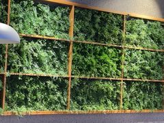 -林溪晚亭脆皮烤鱼(藁城店)