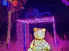 -北京鹿世界主题园
