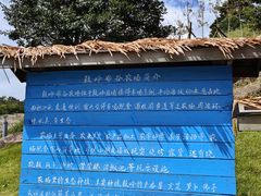 -鼓岭旅游度假区