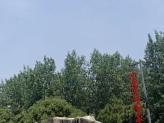 -合肥滨湖国家森林公园