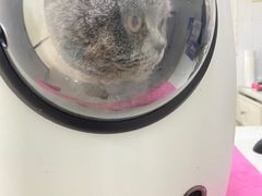 -宠颐生汉谟拉比宠物医院
