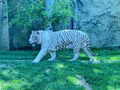 -北京野生动物园