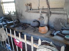 -北纬44度·金珠花海休闲农业旅游景区