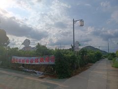 -老袁家蜜桃农场·阳山水蜜桃