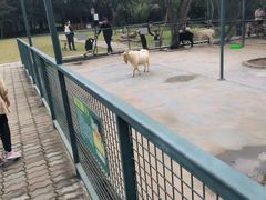 -宁波野生动物园